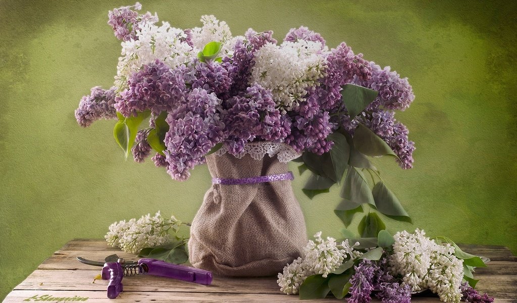 Обои цветы, природа, букет, сирень, натюрморт, мешковина, flowers, nature, bouquet, lilac, still life, burlap разрешение 2000x1333 Загрузить