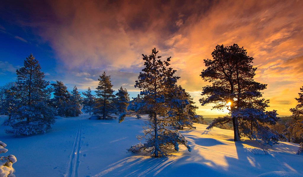 Обои небо, норвегия, облака, деревья, солнце, природа, лес, закат, зима, the sky, norway, clouds, trees, the sun, nature, forest, sunset, winter разрешение 1920x1080 Загрузить