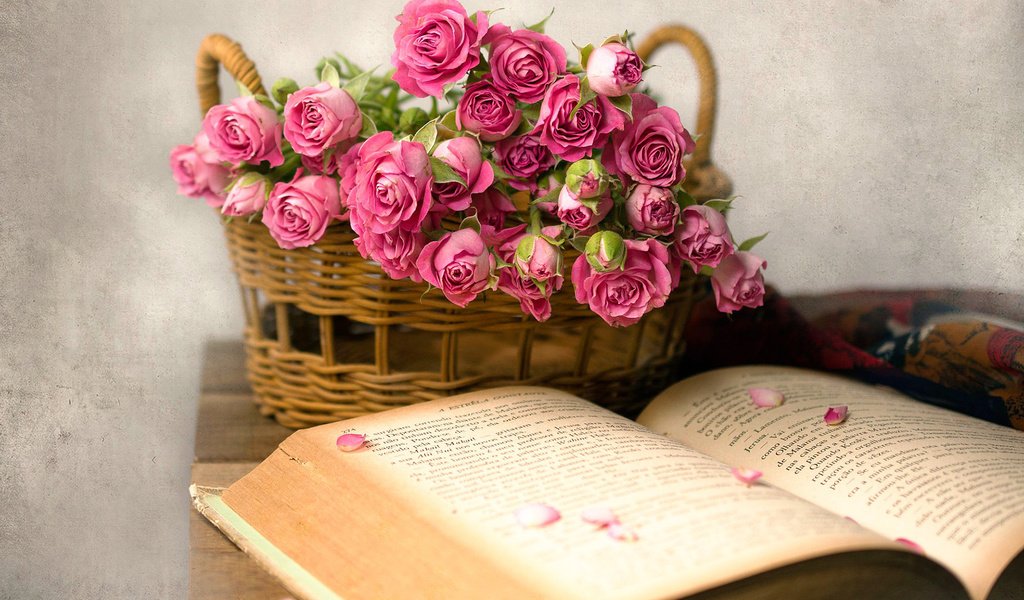 Обои цветы, розы, корзина, книга, flowers, roses, basket, book разрешение 1920x1200 Загрузить