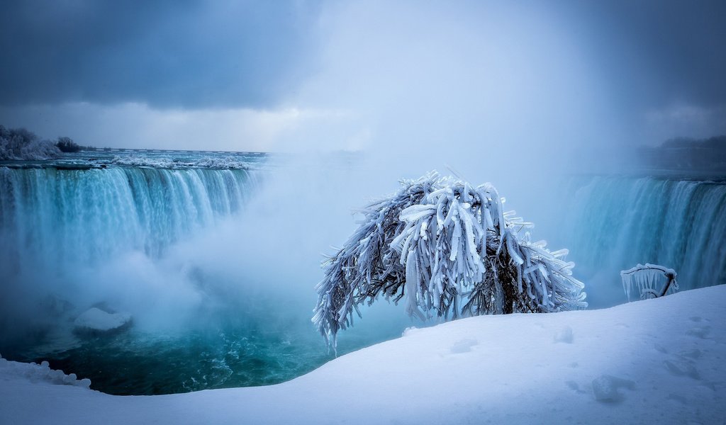 Обои снег, природа, дерево, зима, водопад, ниагарский водопад, snow, nature, tree, winter, waterfall, niagara falls разрешение 2560x1600 Загрузить