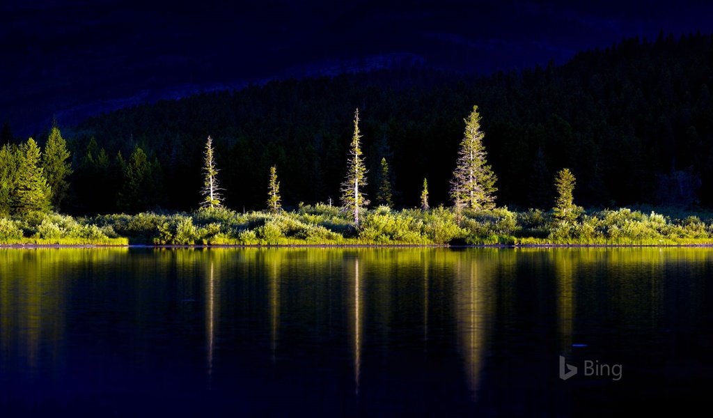 Обои деревья, озеро, горы, природа, лес, отражение, bing, trees, lake, mountains, nature, forest, reflection разрешение 1920x1200 Загрузить