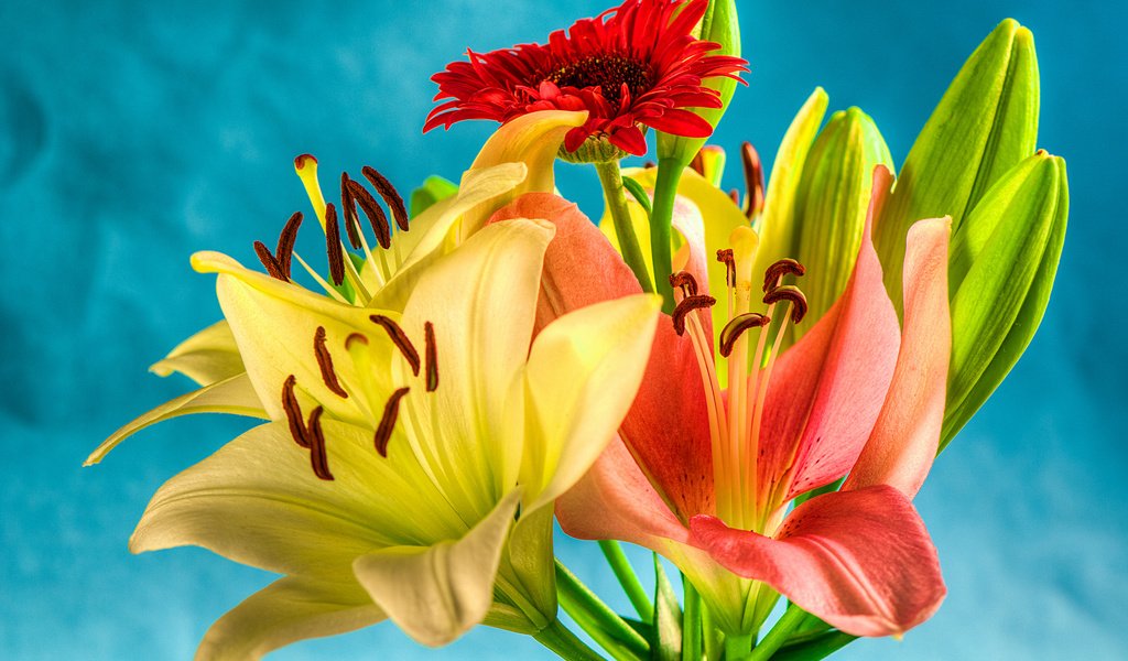 Обои цветы, бутоны, лепестки, букет, лилии, гербера, flowers, buds, petals, bouquet, lily, gerbera разрешение 2048x1360 Загрузить