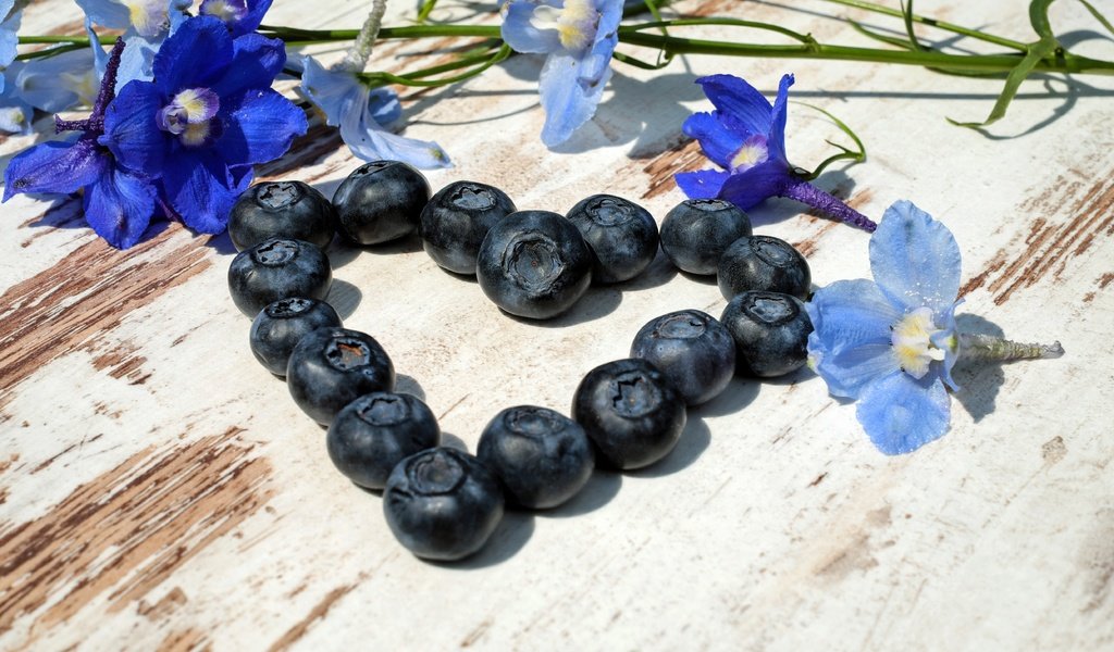 Обои цветы, лепестки, сердце, ягоды, черника, flowers, petals, heart, berries, blueberries разрешение 4896x3154 Загрузить