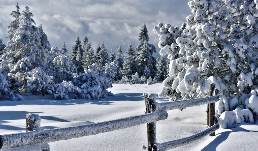 Обои деревья, снег, природа, зима, забор, изгородь, trees, snow, nature, winter, the fence, fence разрешение 5721x3825 Загрузить