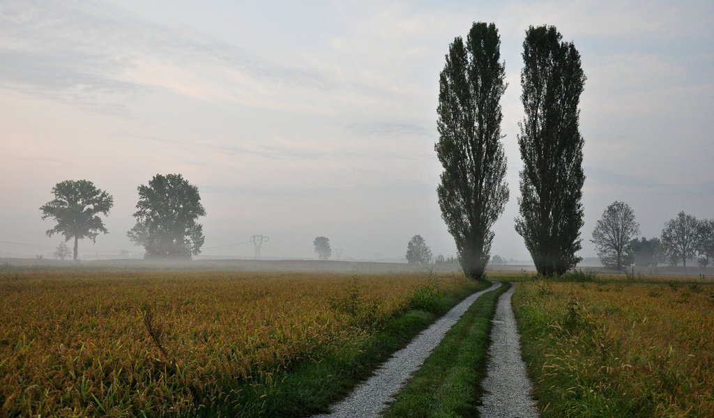 Обои небо, дорога, природа, туман, горизонт,     деревья, тополь, the sky, road, nature, fog, horizon, trees, poplar разрешение 1920x1280 Загрузить