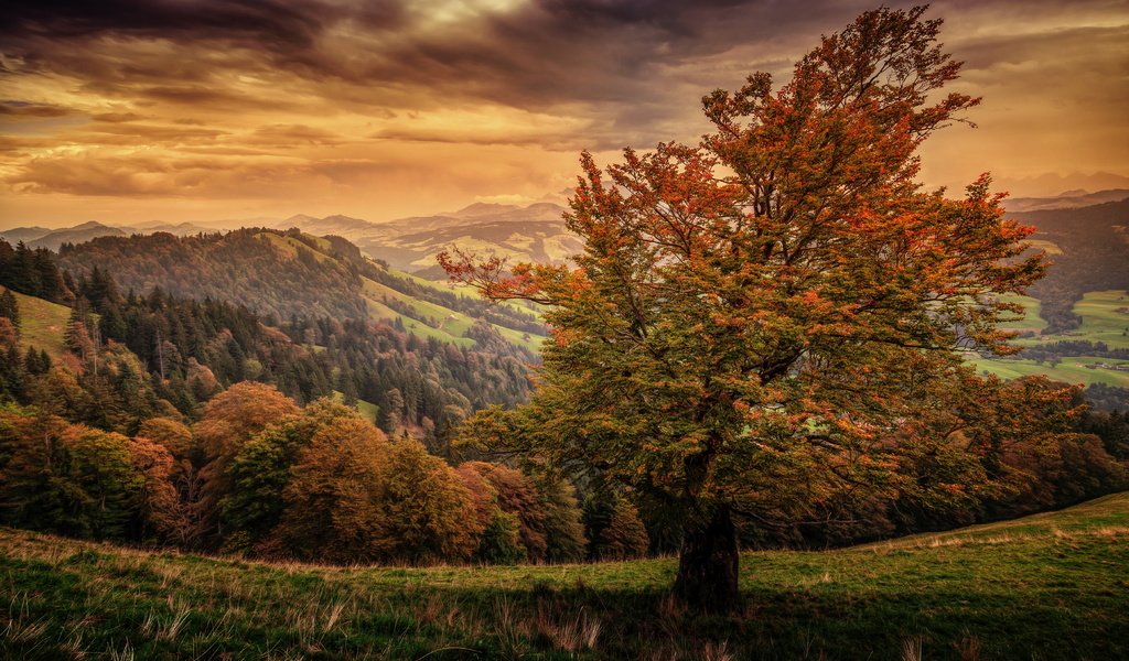 Обои небо, горы, природа, осень, швейцария,     деревья, the sky, mountains, nature, autumn, switzerland, trees разрешение 5616x3744 Загрузить