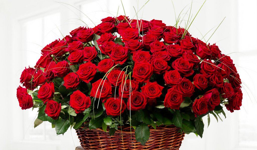 Обои цветы, розы, красные, букет, корзинка, flowers, roses, red, bouquet, basket разрешение 2000x1450 Загрузить