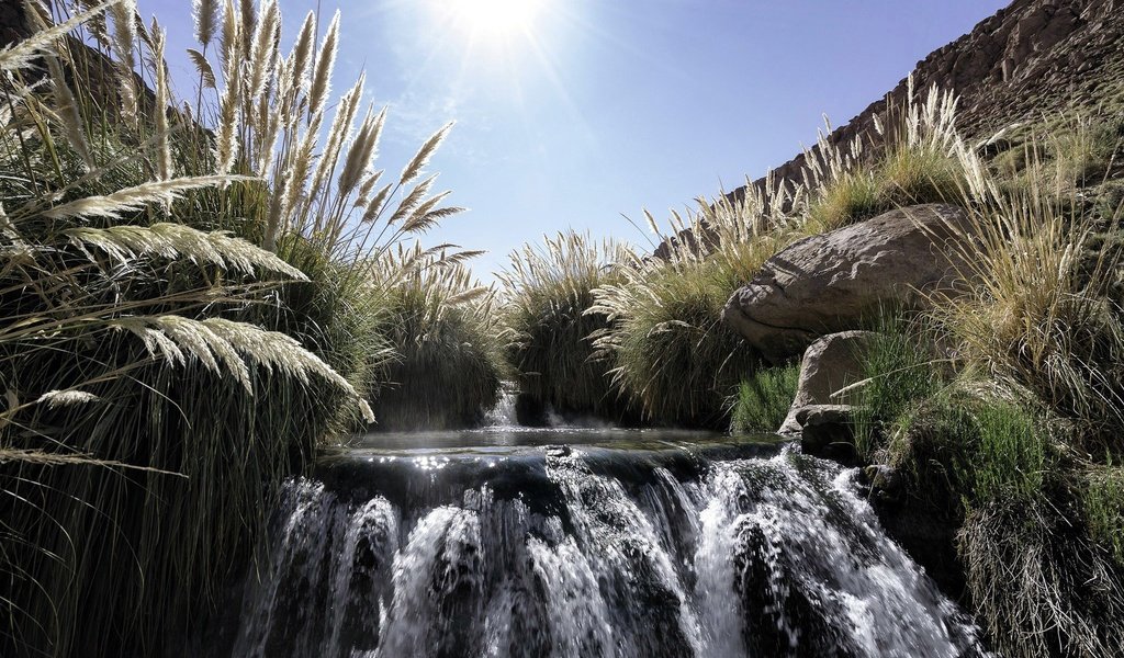 Обои солнце, водопад, травы, the sun, waterfall, grass разрешение 2048x1258 Загрузить
