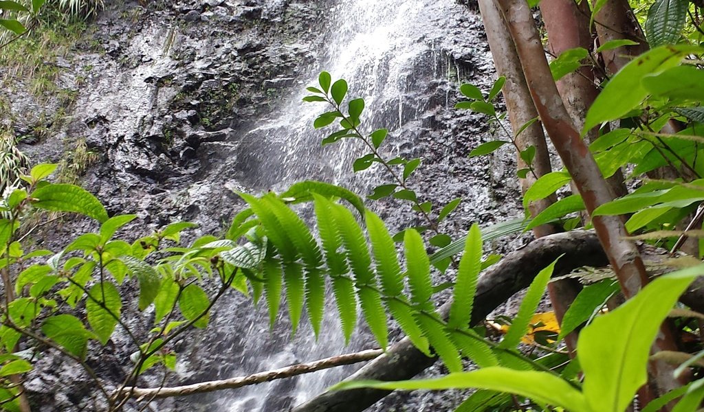 Обои водопад, waterfall разрешение 4128x2322 Загрузить