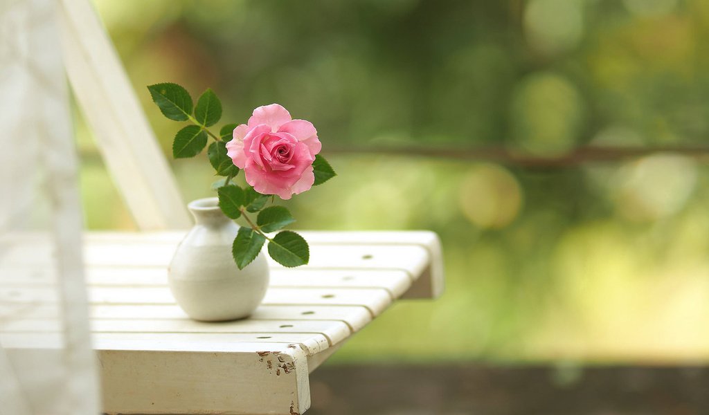 Обои цветок, роза, стул, ваза, боке, вазочка, flower, rose, chair, vase, bokeh разрешение 1920x1200 Загрузить
