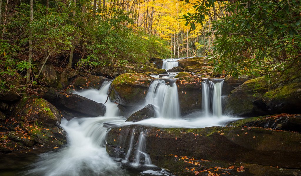 Обои деревья, вода, река, природа, лес, водопад, осень, поток, trees, water, river, nature, forest, waterfall, autumn, stream разрешение 2880x1800 Загрузить