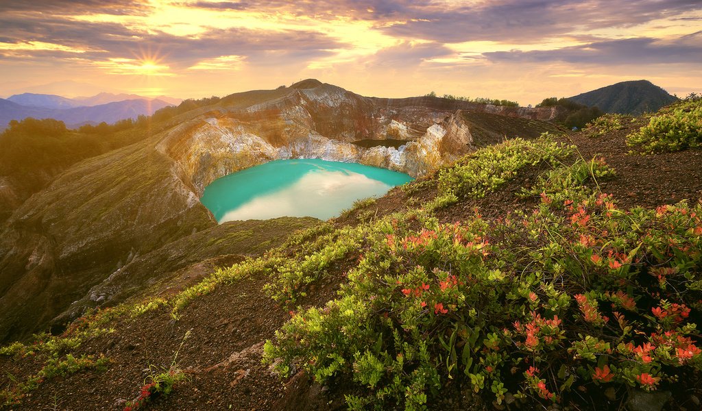 Обои цветы, озеро, горы, природа, индонезия, flowers, lake, mountains, nature, indonesia разрешение 1920x1200 Загрузить
