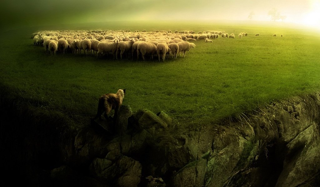 Обои зелень, пейзаж, собака, овцы, стадо, пастух, бараны, greens, landscape, dog, sheep, the herd, shepherd разрешение 1920x1080 Загрузить