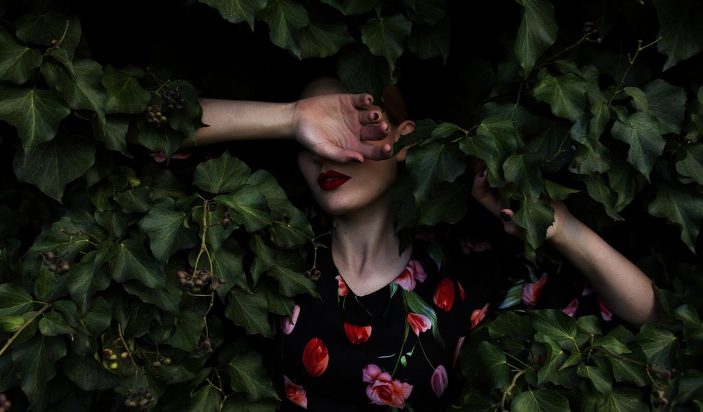 Обои листья, девушка, платье, листва, лицо, руки, mara saiz, leaves, girl, dress, foliage, face, hands разрешение 2048x1365 Загрузить