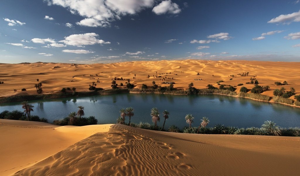 Обои небо, облака, озеро, песок, пустыня, оазис, sahara, the sky, clouds, lake, sand, desert, oasis разрешение 1920x1080 Загрузить