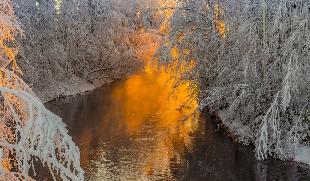 Обои деревья, река, природа, лес, ветки, иней, trees, river, nature, forest, branches, frost разрешение 1920x1200 Загрузить