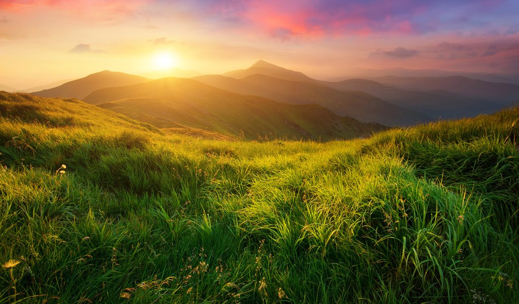 Обои трава, солнце, холмы, природа, пейзаж, луга, biletskyi ievgenii, grass, the sun, hills, nature, landscape, meadows, biletskyi use разрешение 3840x2400 Загрузить