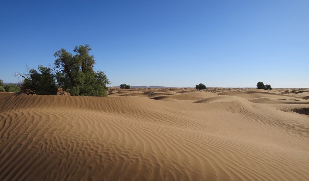 Обои природа, пейзаж, песок, пустыня, дюны, nature, landscape, sand, desert, dunes разрешение 3840x2400 Загрузить