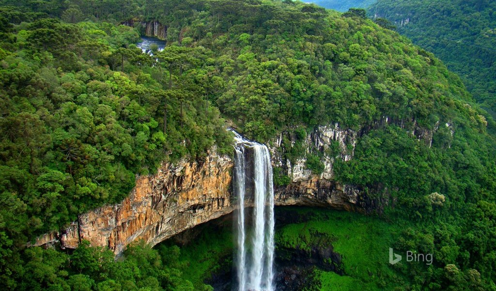 Обои деревья, скалы, водопад, мох, бразилия, cascata do caracol, каракол, trees, rocks, waterfall, moss, brazil, karakol разрешение 1920x1200 Загрузить