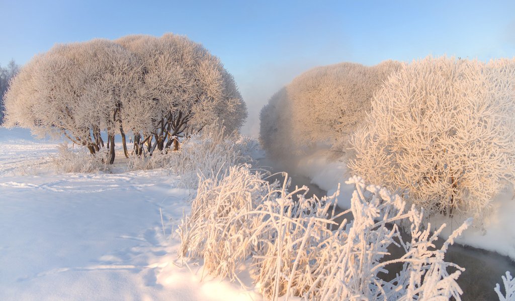 Обои небо, деревья, снег, природа, зима, мороз, иней, эдуард гордеев, the sky, trees, snow, nature, winter, frost, eduard gordeev разрешение 1920x1200 Загрузить