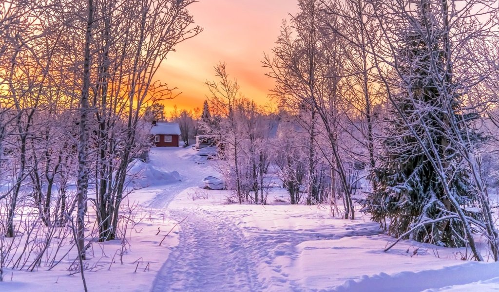 Обои дорога, деревья, снег, закат, зима, пейзаж, домик, красива, road, trees, snow, sunset, winter, landscape, house, beautiful разрешение 2048x1389 Загрузить