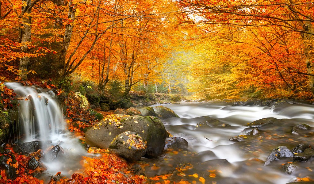 Обои деревья, река, камни, лес, листья, водопад, осень, румыния, trees, river, stones, forest, leaves, waterfall, autumn, romania разрешение 1920x1080 Загрузить