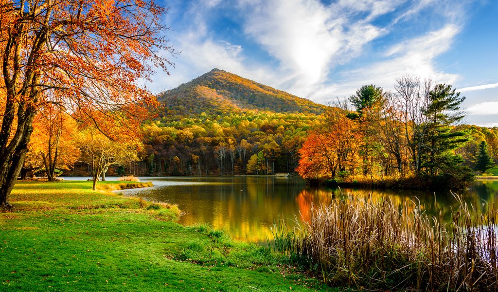 Обои трава, деревья, озеро, гора, осень, grass, trees, lake, mountain, autumn разрешение 3000x1991 Загрузить