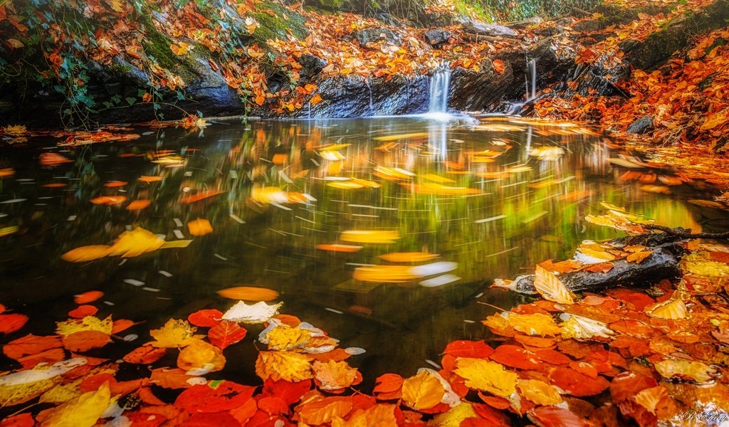 Обои вода, листья, водопад, осень, поток, water, leaves, waterfall, autumn, stream разрешение 2048x1198 Загрузить