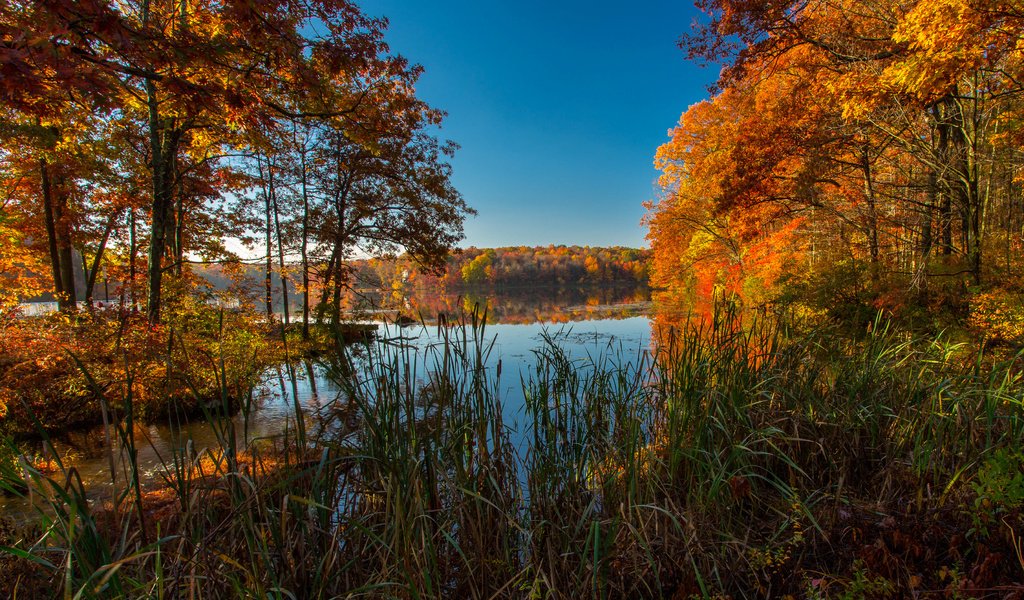 Обои трава, ice lakes, деревья, озеро, природа, осень, сша, колорадо, осень. озеро, grass, trees, lake, nature, autumn, usa, colorado, autumn. lake разрешение 3600x2200 Загрузить