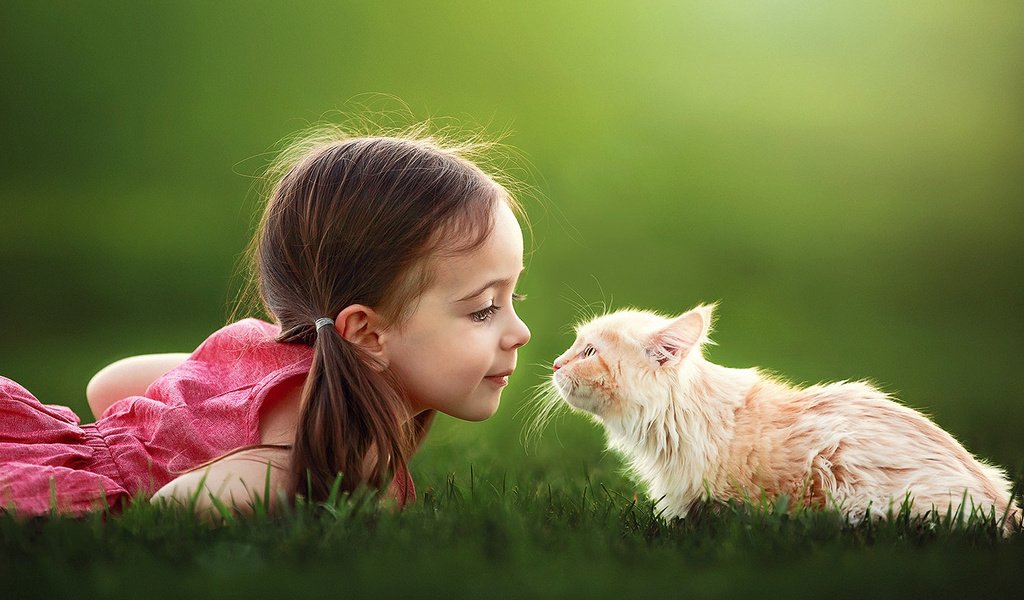 Обои трава, настроение, кот, кошка, девочка, ребенок, suzy mead, grass, mood, cat, girl, child разрешение 1920x1200 Загрузить