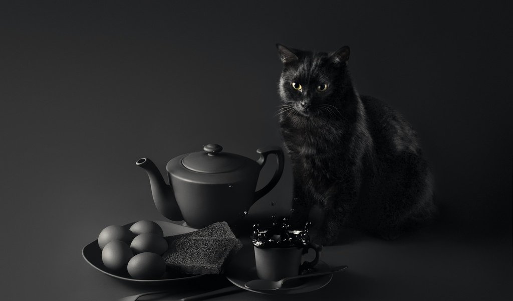 Обои глаза, завтрак, фон, чёрная кошка, мордочка, sanket khuntale, кошка неудачи, усы, кошка, взгляд, черный, стол, eyes, breakfast, background, black cat, muzzle, cat failures, mustache, cat, look, black, table разрешение 2048x1438 Загрузить