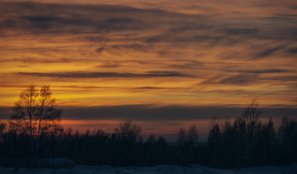 Обои деревья, снег, закат, зима, trees, snow, sunset, winter разрешение 4230x2820 Загрузить