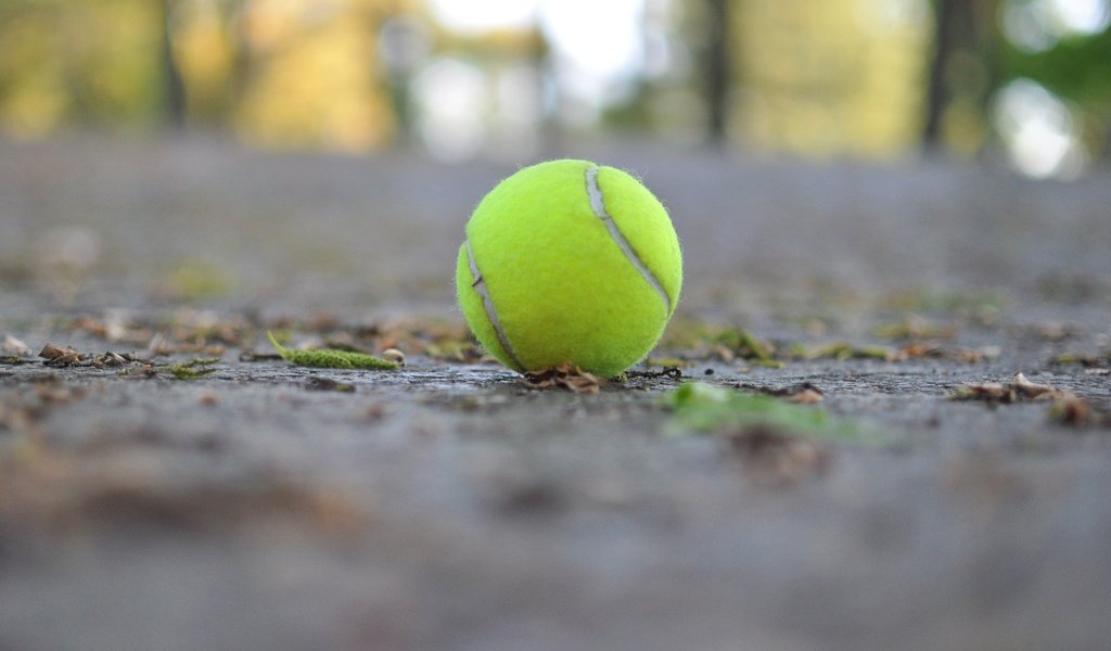 Обои макро, мяч, теннис, теннисный мяч, macro, the ball, tennis, tennis ball разрешение 2880x1800 Загрузить