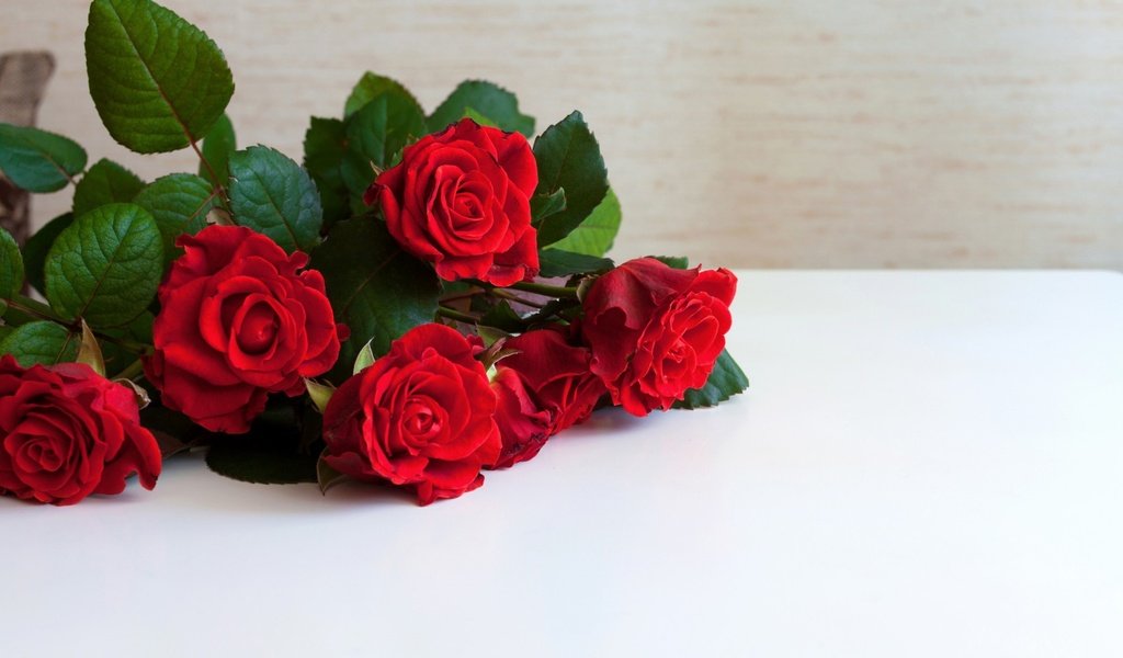 Обои цветы, розы, красные, flowers, roses, red разрешение 1920x1080 Загрузить