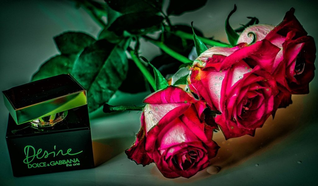 Обои цветы, розы, духи, флакон, flowers, roses, perfume, bottle разрешение 1920x1080 Загрузить