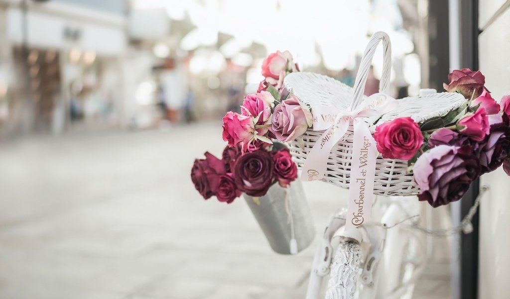 Обои цветы, розы, улица, велосипед, flowers, roses, street, bike разрешение 1920x1080 Загрузить