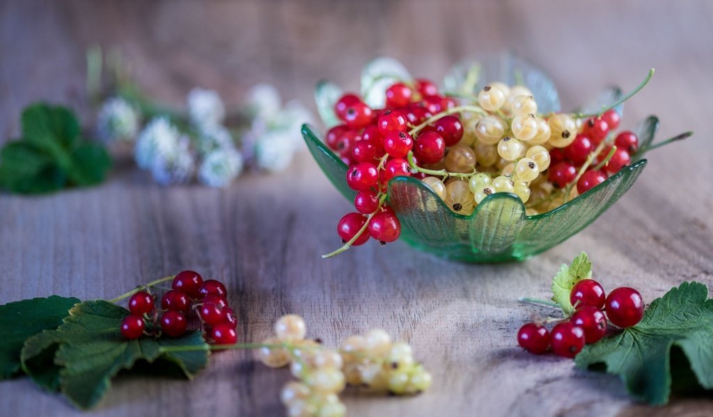 Обои ягоды, листики, вкусно, смородина, спелые, веточки, berries, leaves, delicious, currants, ripe, twigs разрешение 2048x1230 Загрузить