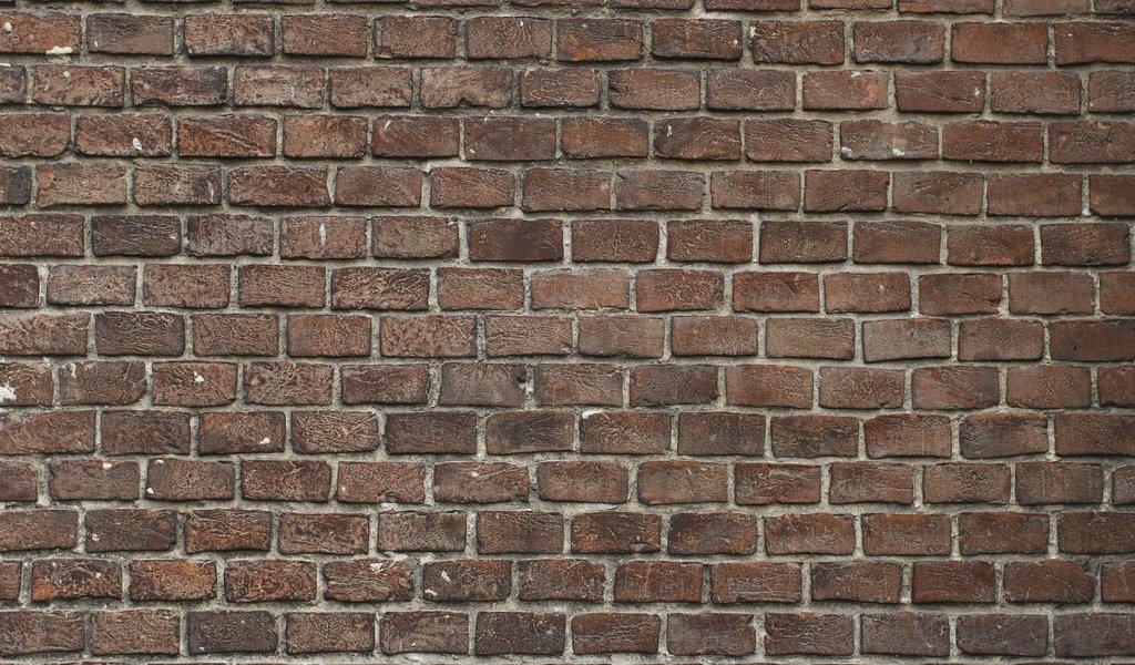 Обои стена, здание, кирпич, кирпичи, кирпичная стена, зодчество, wall, the building, brick, bricks, brick wall, architecture разрешение 5184x3456 Загрузить