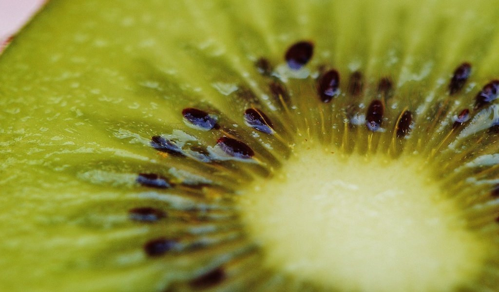 Обои фрукты, киви, крупным планом, fruit, kiwi, closeup разрешение 6016x4000 Загрузить
