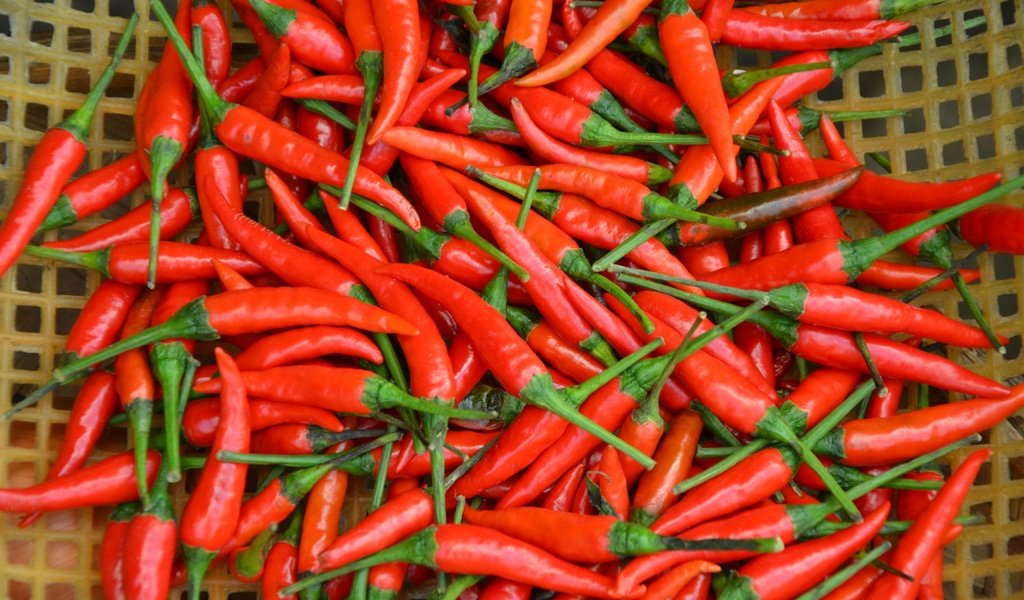 Обои красный, овощи, чили, перец, жгучий, перец чили, red, vegetables, chile, pepper, burning, chili разрешение 4608x3072 Загрузить