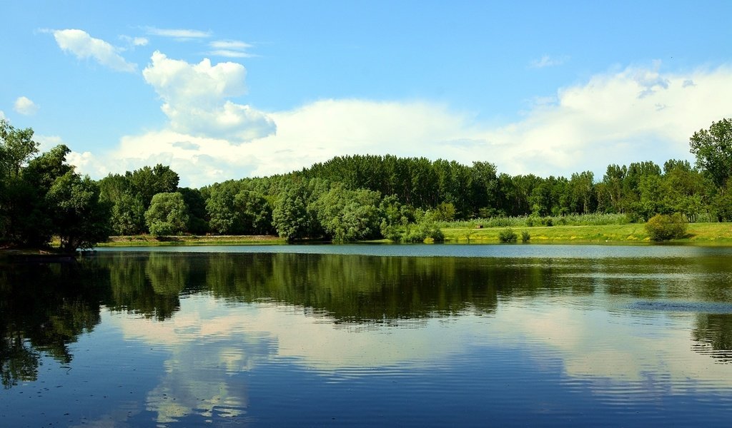 Обои небо, пейзаж, облака, деревья, вода, озеро, река, природа, отражение, the sky, landscape, clouds, trees, water, lake, river, nature, reflection разрешение 1950x1297 Загрузить