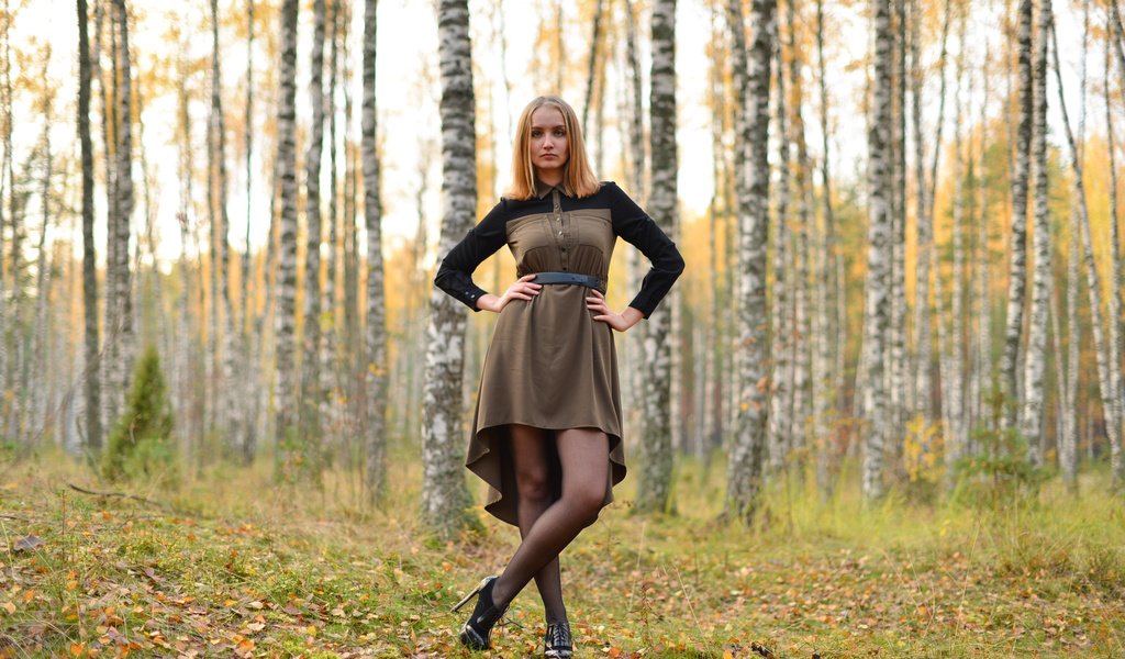 Обои лес, платье, березы, осень, модель, рыжеволосая, forest, dress, birch, autumn, model, redhead разрешение 3008x2008 Загрузить