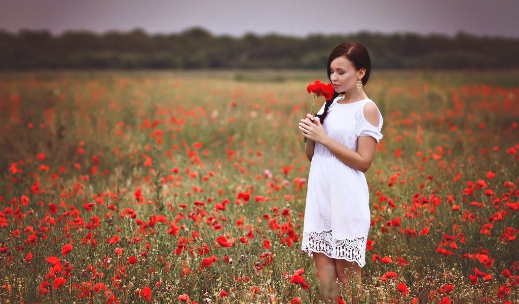 Обои девушка, платье, поле, красные, маки, руки, белое платье, girl, dress, field, red, maki, hands, white dress разрешение 2048x1364 Загрузить