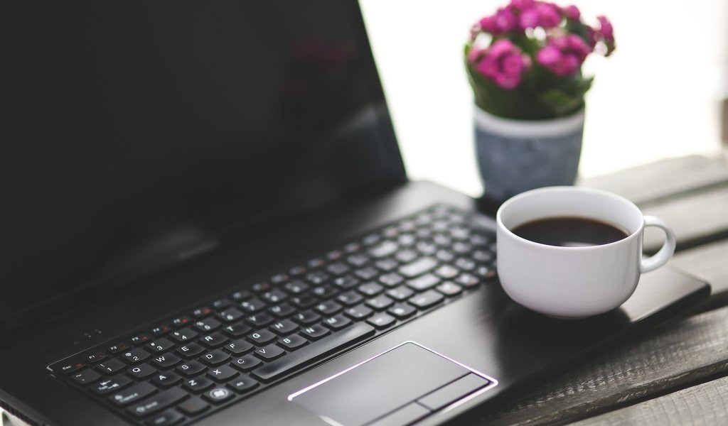 Обои цветок, кофе, клавиатура, чашка, ноутбук, flower, coffee, keyboard, cup, laptop разрешение 1920x1080 Загрузить
