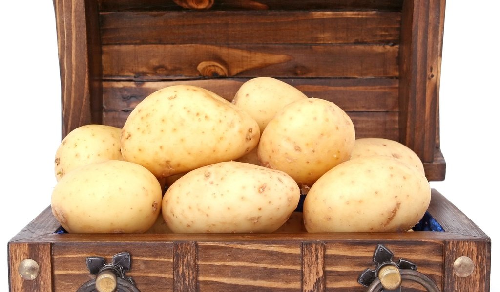 Обои белый фон, овощи, картофель, сундук, white background, vegetables, potatoes, chest разрешение 2376x2136 Загрузить