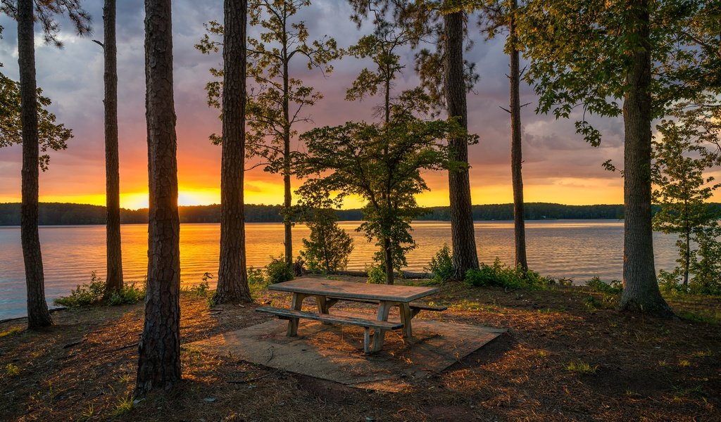 Обои деревья, озеро, берег, лес, закат, стволы, скамейка, trees, lake, shore, forest, sunset, trunks, bench разрешение 2048x1366 Загрузить