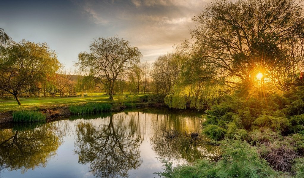 Обои деревья, река, природа, утро, рассвет, trees, river, nature, morning, dawn разрешение 1920x1200 Загрузить