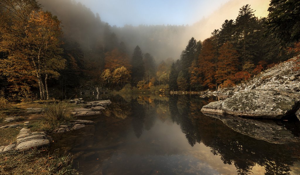 Обои деревья, река, природа, лес, туман, осень, etienne ruff, trees, river, nature, forest, fog, autumn разрешение 1920x1200 Загрузить