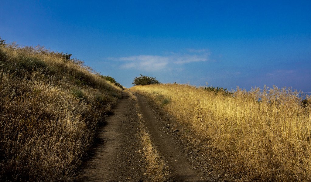 Обои дорога, трава, холмы, голубое небо, leonid len, road, grass, hills, blue sky разрешение 2184x1456 Загрузить