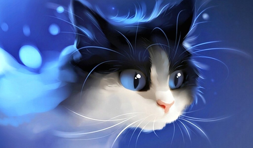 Обои фон, кот, мордочка, усы, кошка, взгляд, котенок, background, cat, muzzle, mustache, look, kitty разрешение 1920x1200 Загрузить